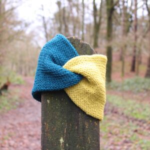 Double Trouble Twisted Headband